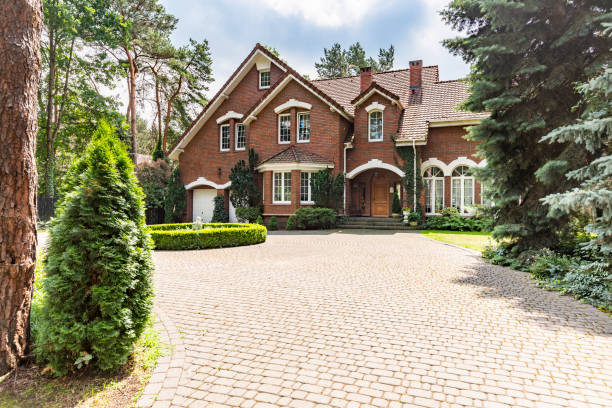 Best Professional Driveway Pavers  in Aspermont, TX